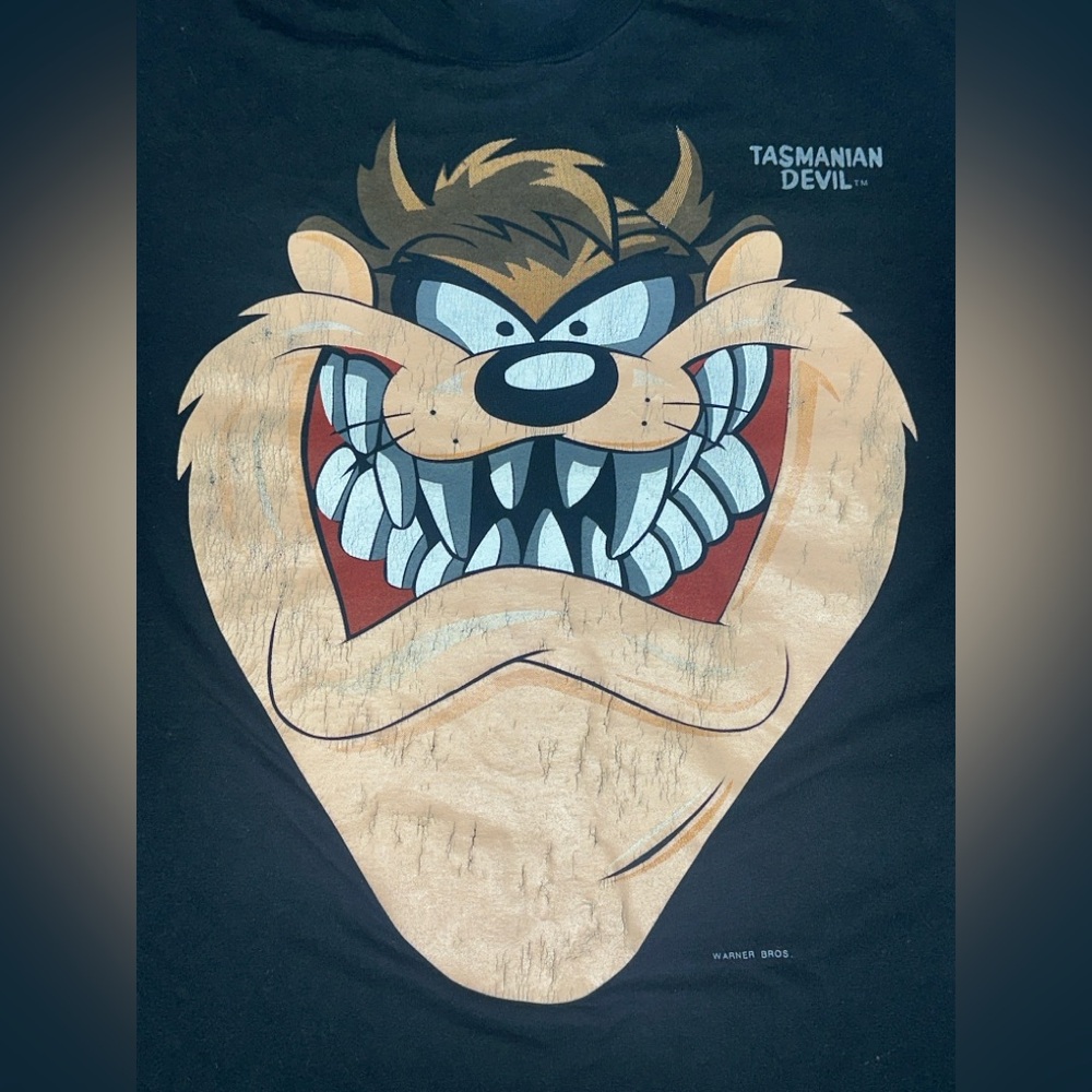 Vintage 90s Taz Tasmanian Devil Tee Distressed Warner Bros Looney Tunes XL - Picture 5 of 7